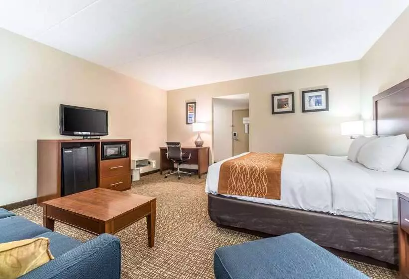 בית מלון כפרי Comfort Inn Festusst. Louis South