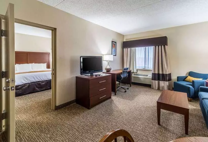 בית מלון כפרי Comfort Inn Festusst. Louis South