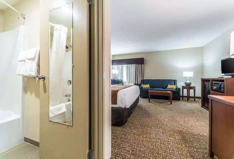 בית מלון כפרי Comfort Inn Festusst. Louis South