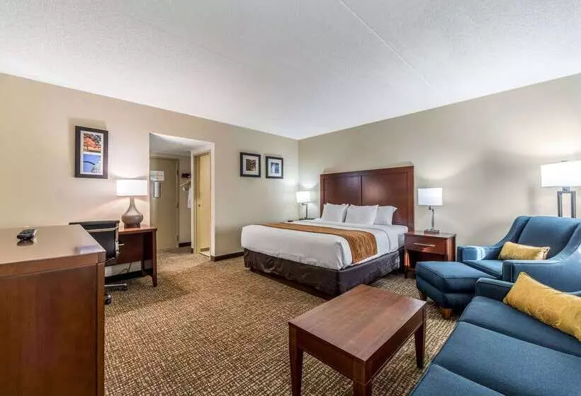 בית מלון כפרי Comfort Inn Festusst. Louis South