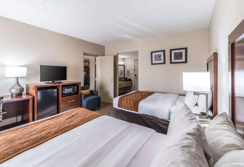 בית מלון כפרי Comfort Inn Festusst. Louis South