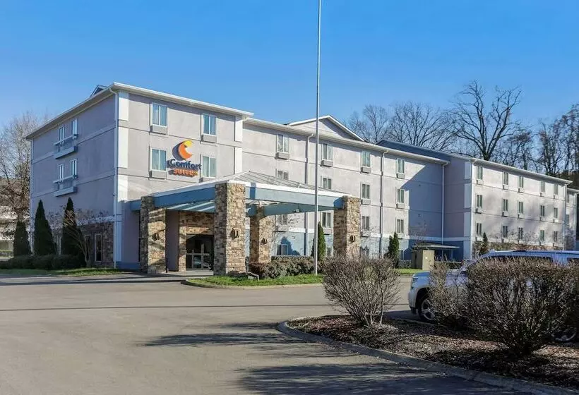 호텔 Comfort Suites Nashville Airport   Bna