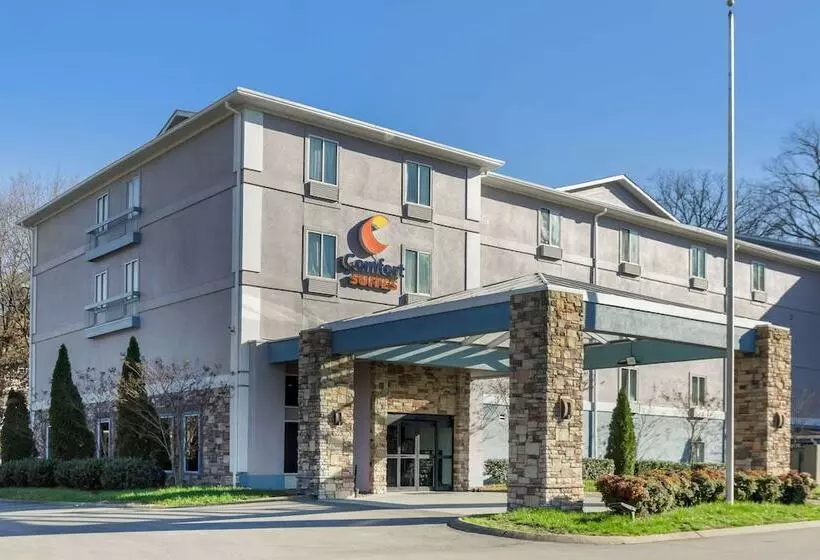 호텔 Comfort Suites Nashville Airport   Bna