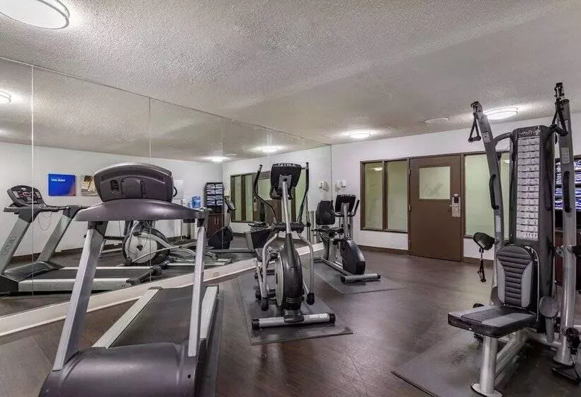 호텔 Comfort Suites Nashville Airport   Bna