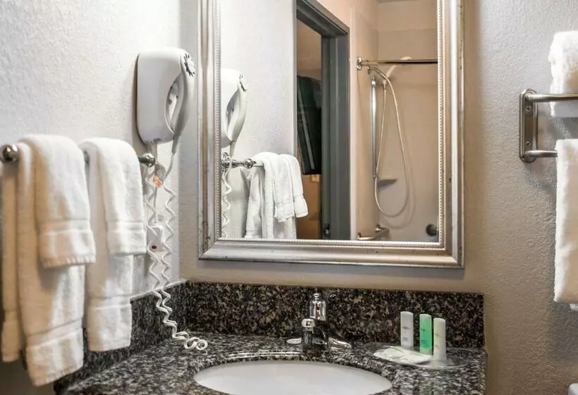 호텔 Comfort Suites Nashville Airport   Bna