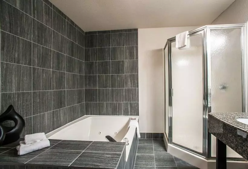 호텔 Comfort Suites Nashville Airport   Bna