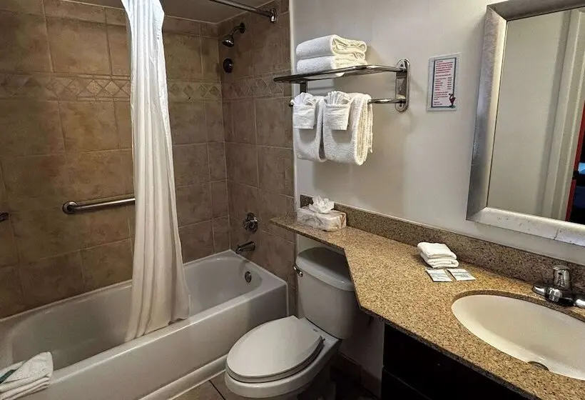 هتل Ramada By Wyndham Flamingo Water Park