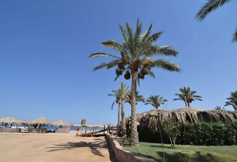 هتل Sharm El Naga Resort And Diving Center