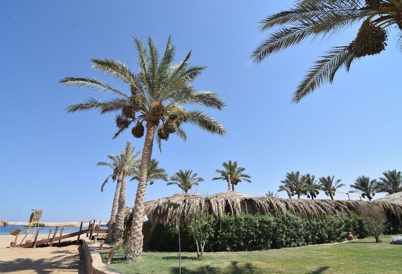 هتل Sharm El Naga Resort And Diving Center