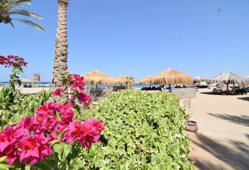هتل Sharm El Naga Resort And Diving Center