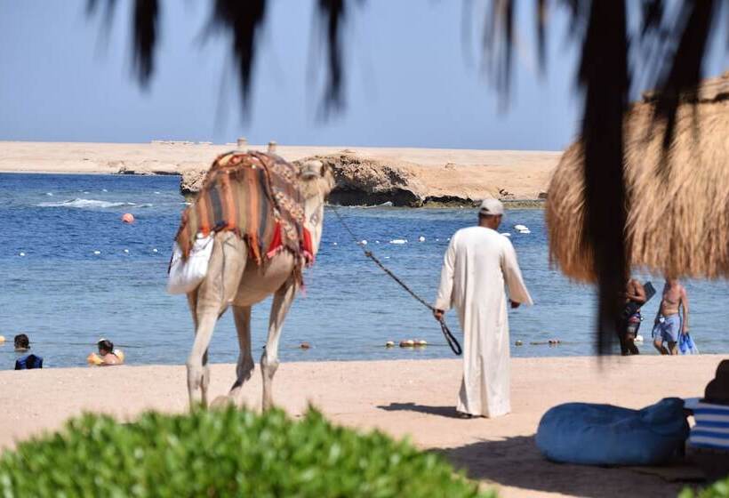 هتل Sharm El Naga Resort And Diving Center