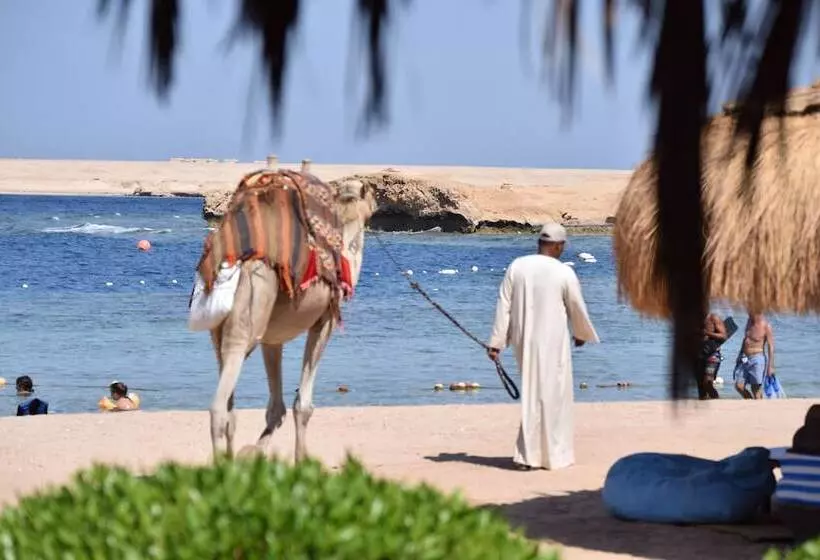 هتل Sharm El Naga Resort And Diving Center