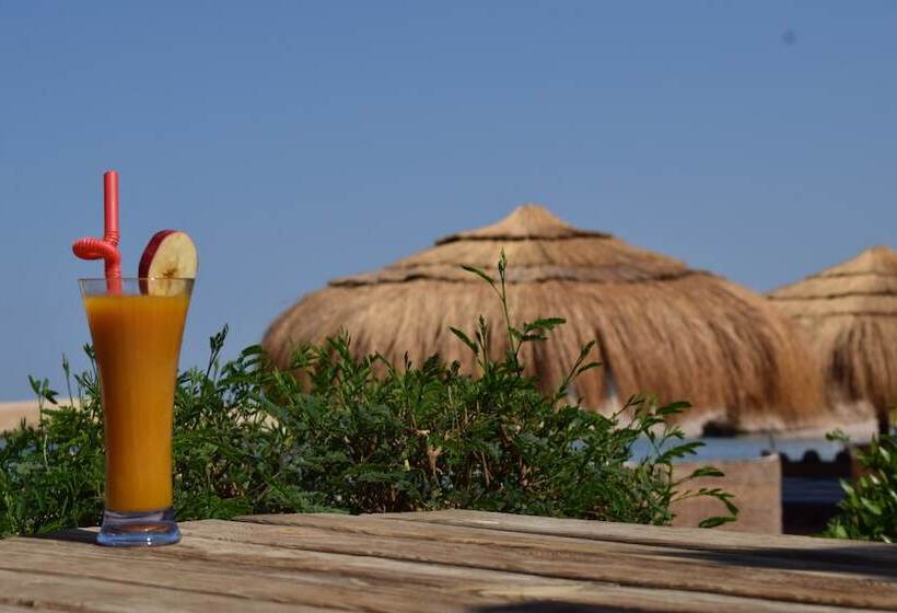 هتل Sharm El Naga Resort And Diving Center