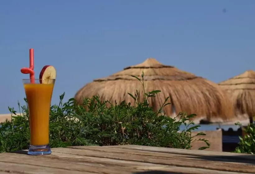 هتل Sharm El Naga Resort And Diving Center