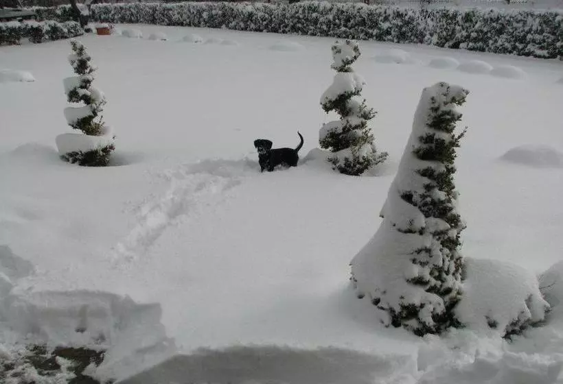 ホテル Agriturismo Villa Ione