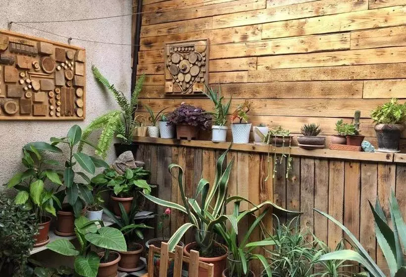 پانسیون Second Room