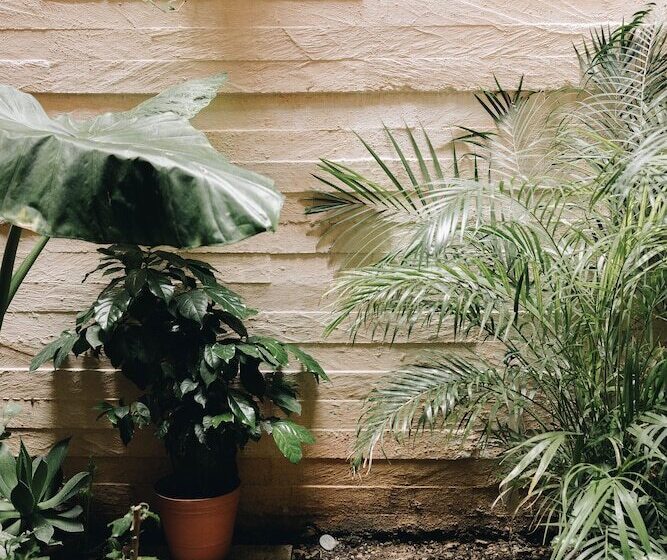 Florencia Hotel Boutique