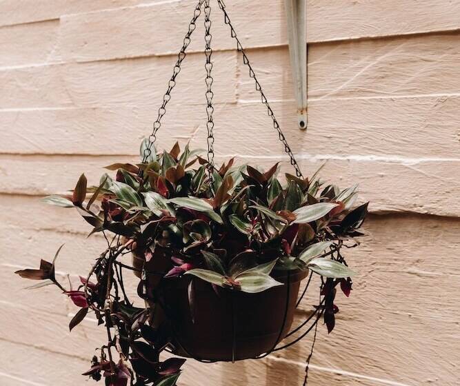 Florencia Hotel Boutique