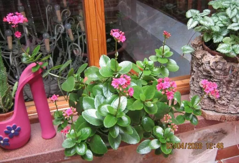 Hotelli Caserón Trastamara