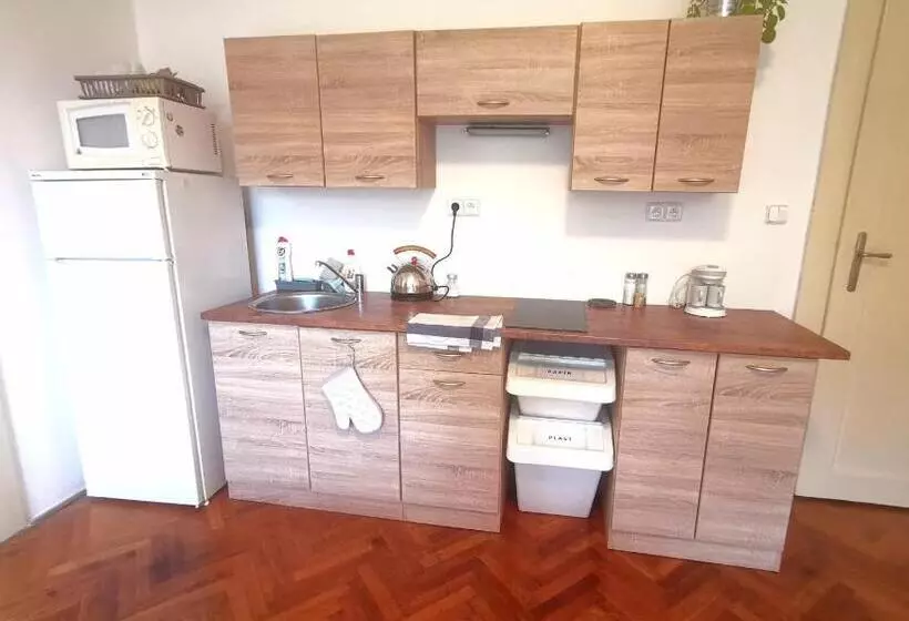 پانسیون Penzion U Juráše