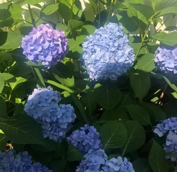 ベッドアンドブレックファースト Ottaway Inn Llc