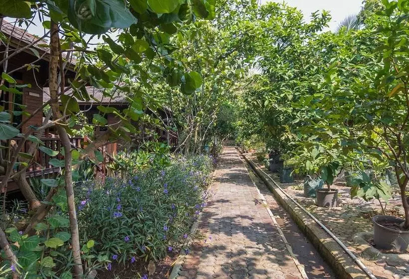 Majatalo Reddoorz Resort @ Taman Wisata Mangrove