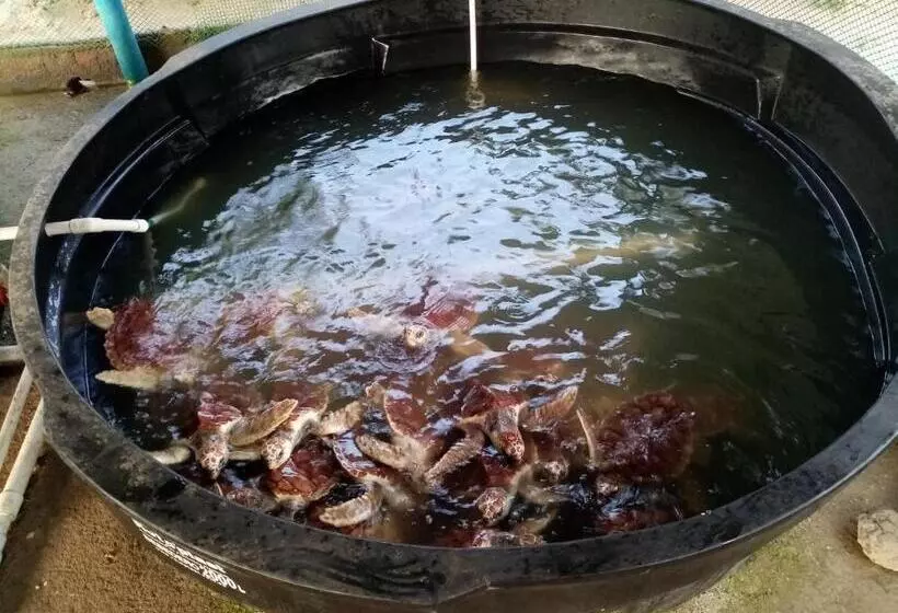 Majatalo Hostal La Finquita