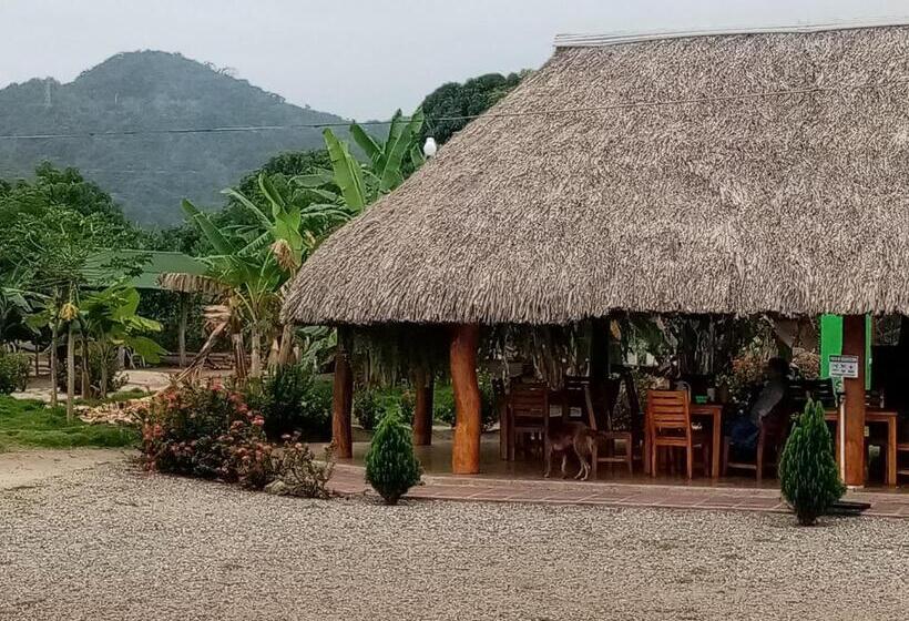 پانسیون Hostal La Finquita