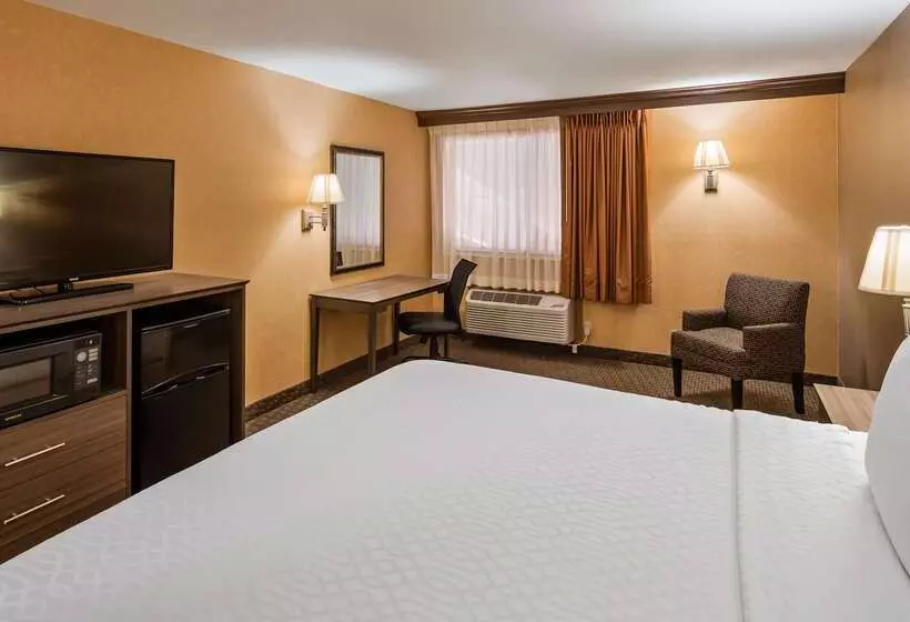 호텔 Best Western Plus North Canton Inn & Suites