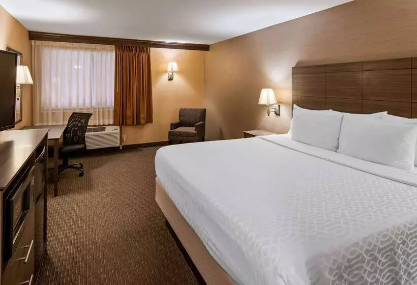 호텔 Best Western Plus North Canton Inn & Suites