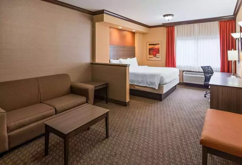 호텔 Best Western Plus North Canton Inn & Suites