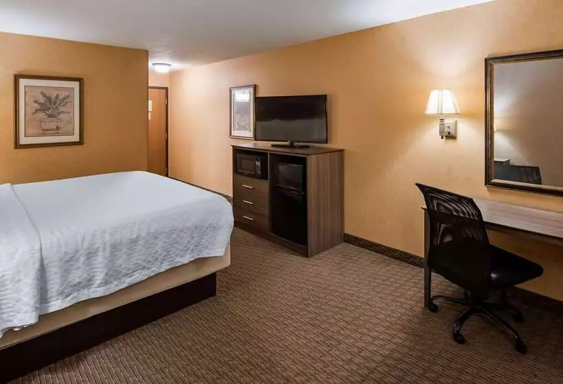 호텔 Best Western Plus North Canton Inn & Suites