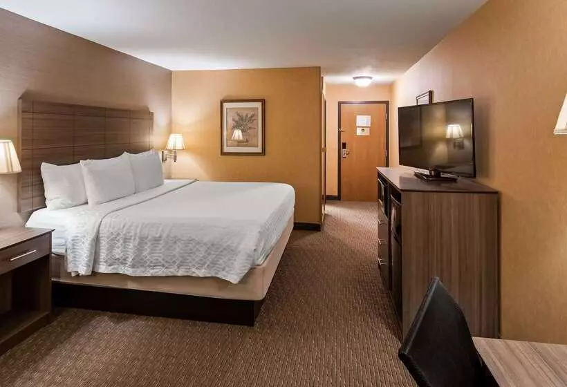 호텔 Best Western Plus North Canton Inn & Suites