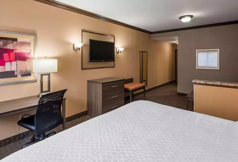 호텔 Best Western Plus North Canton Inn & Suites