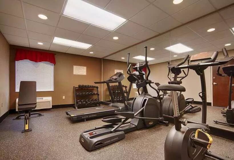 酒店 Best Western Plus Oak Mountain Inn