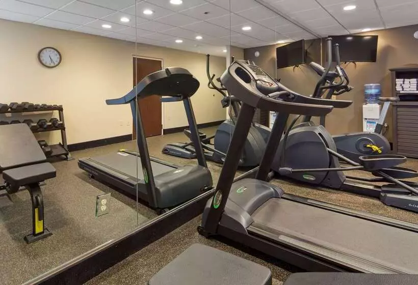 酒店 Best Western Plus Oak Mountain Inn