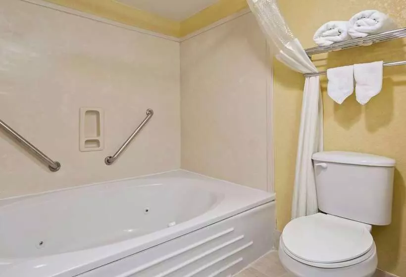 酒店 Best Western Plus Oak Mountain Inn