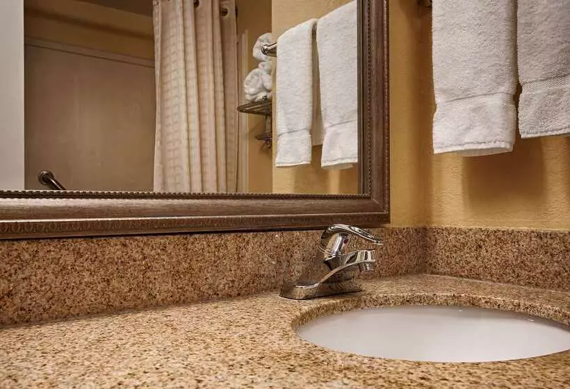 酒店 Best Western Plus Oak Mountain Inn