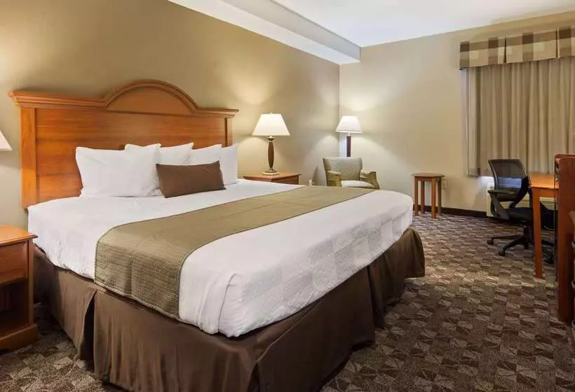 酒店 Best Western Plus Oak Mountain Inn