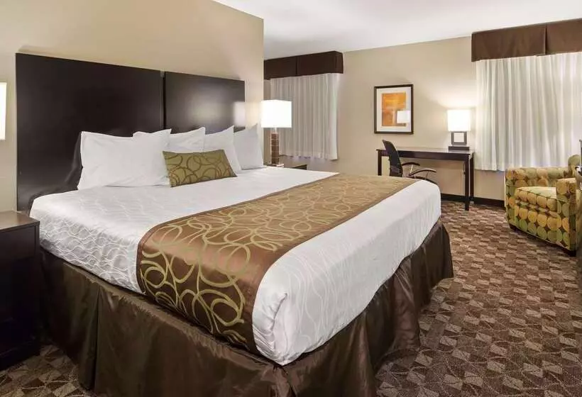 酒店 Best Western Plus Oak Mountain Inn