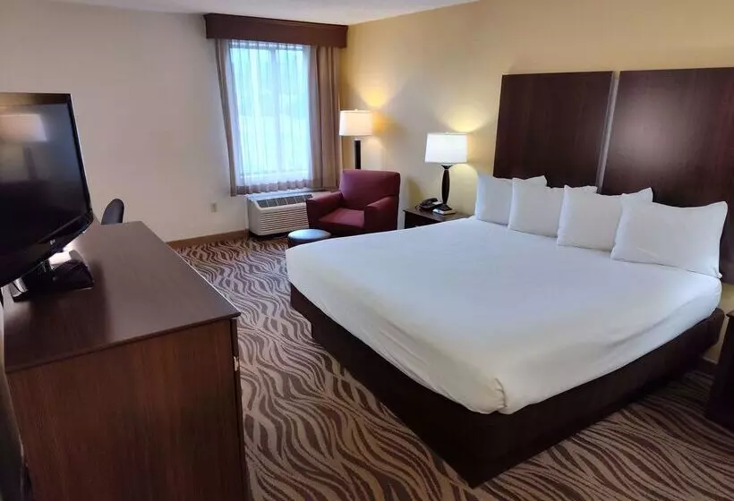 酒店 Best Western Plus Oak Mountain Inn