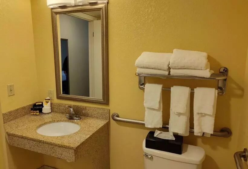 酒店 Best Western Plus Oak Mountain Inn