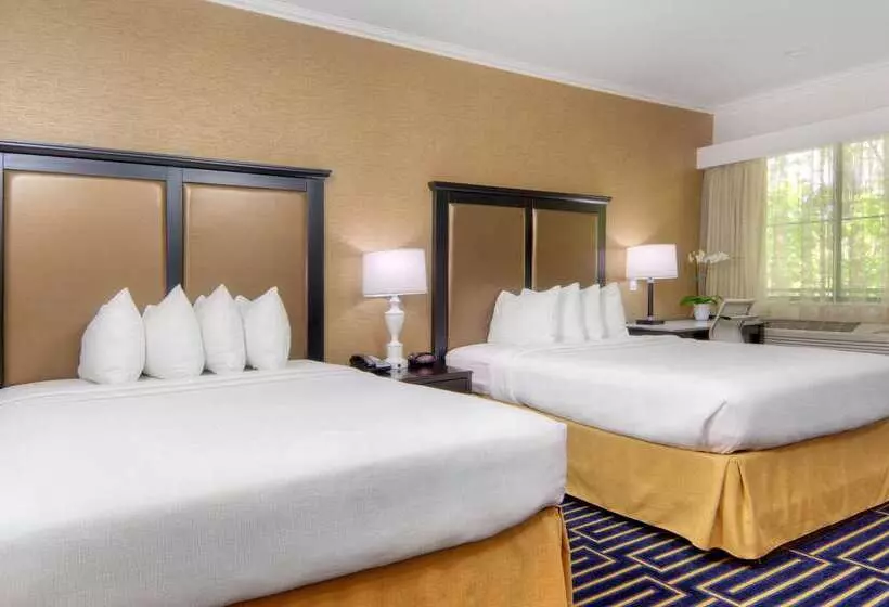 Hotel Best Western Plus Palm Court