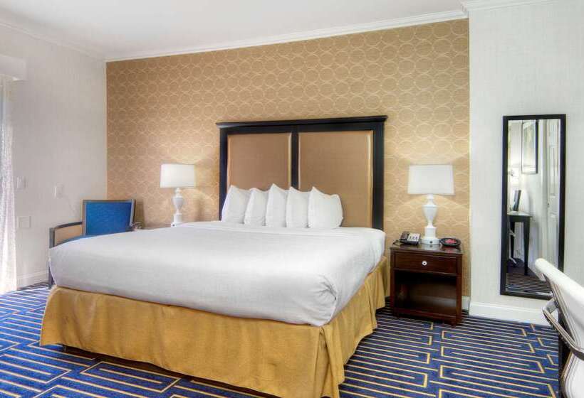 酒店 Best Western Plus Palm Court