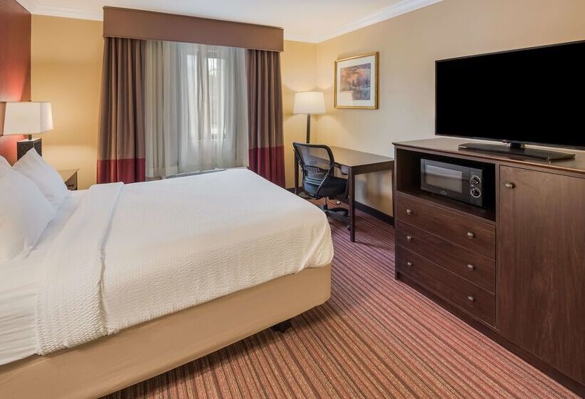 בית מלון כפרי Best Western Sycamore Inn