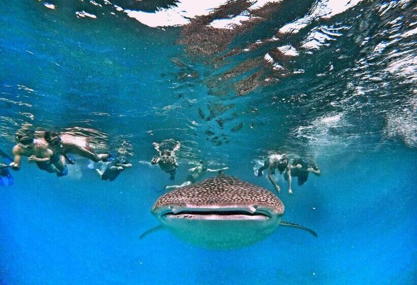 پانسیون Athiri Beach Maldives
