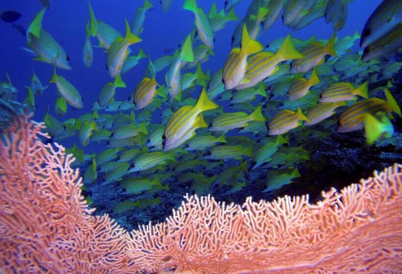 پانسیون Athiri Beach Maldives