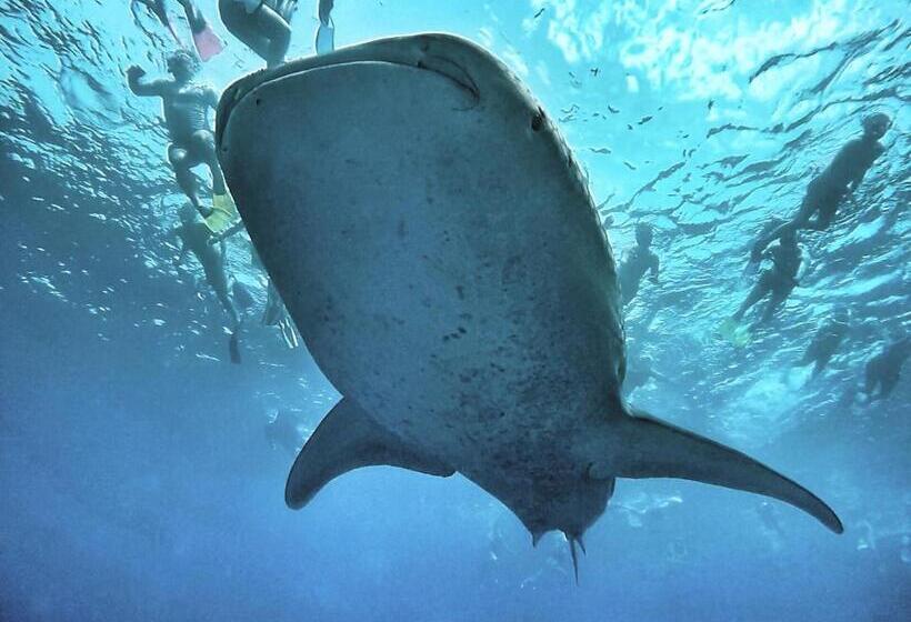پانسیون Athiri Beach Maldives