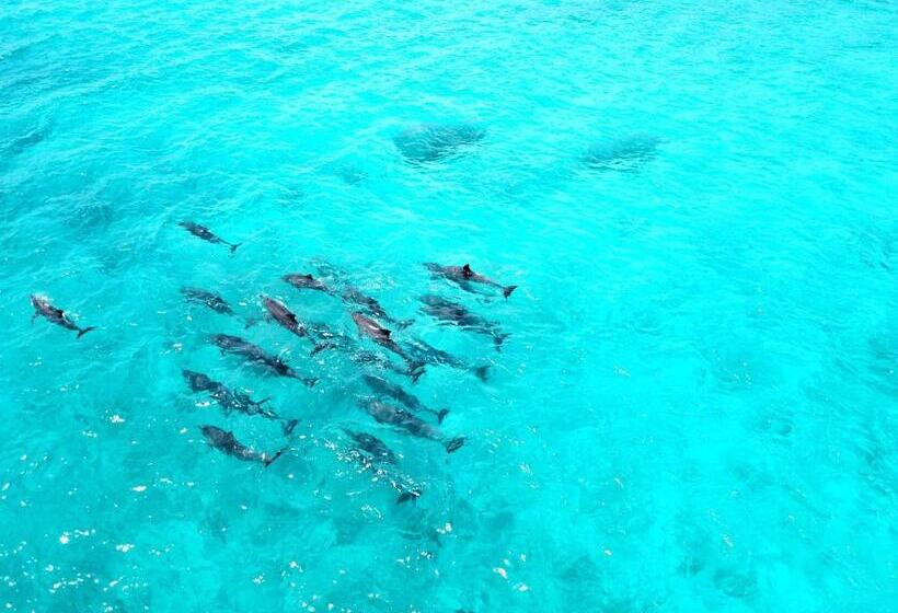 پانسیون Athiri Beach Maldives