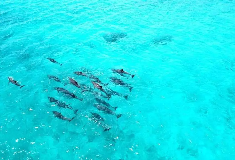 پانسیون Athiri Beach Maldives